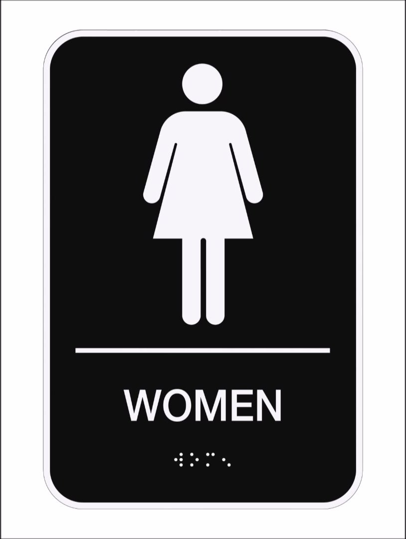 3 Stall Women's Restroom 1 Pooper (audio)