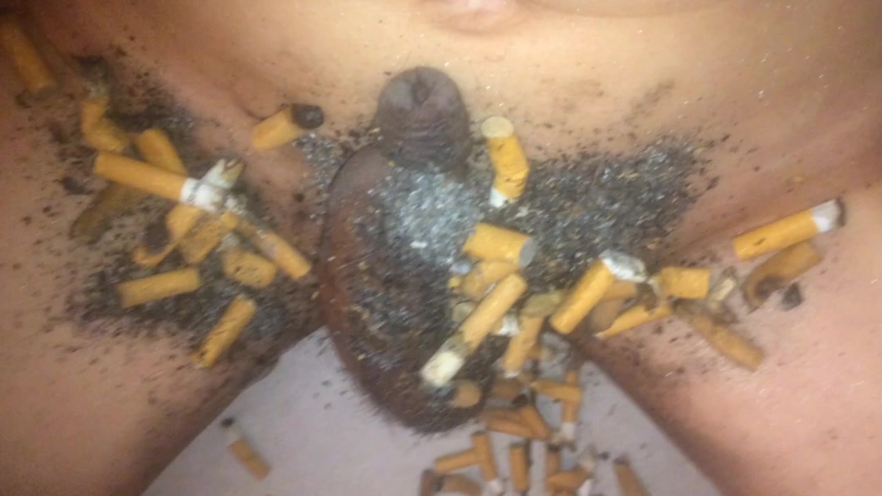dirty fun trash cock ashtray