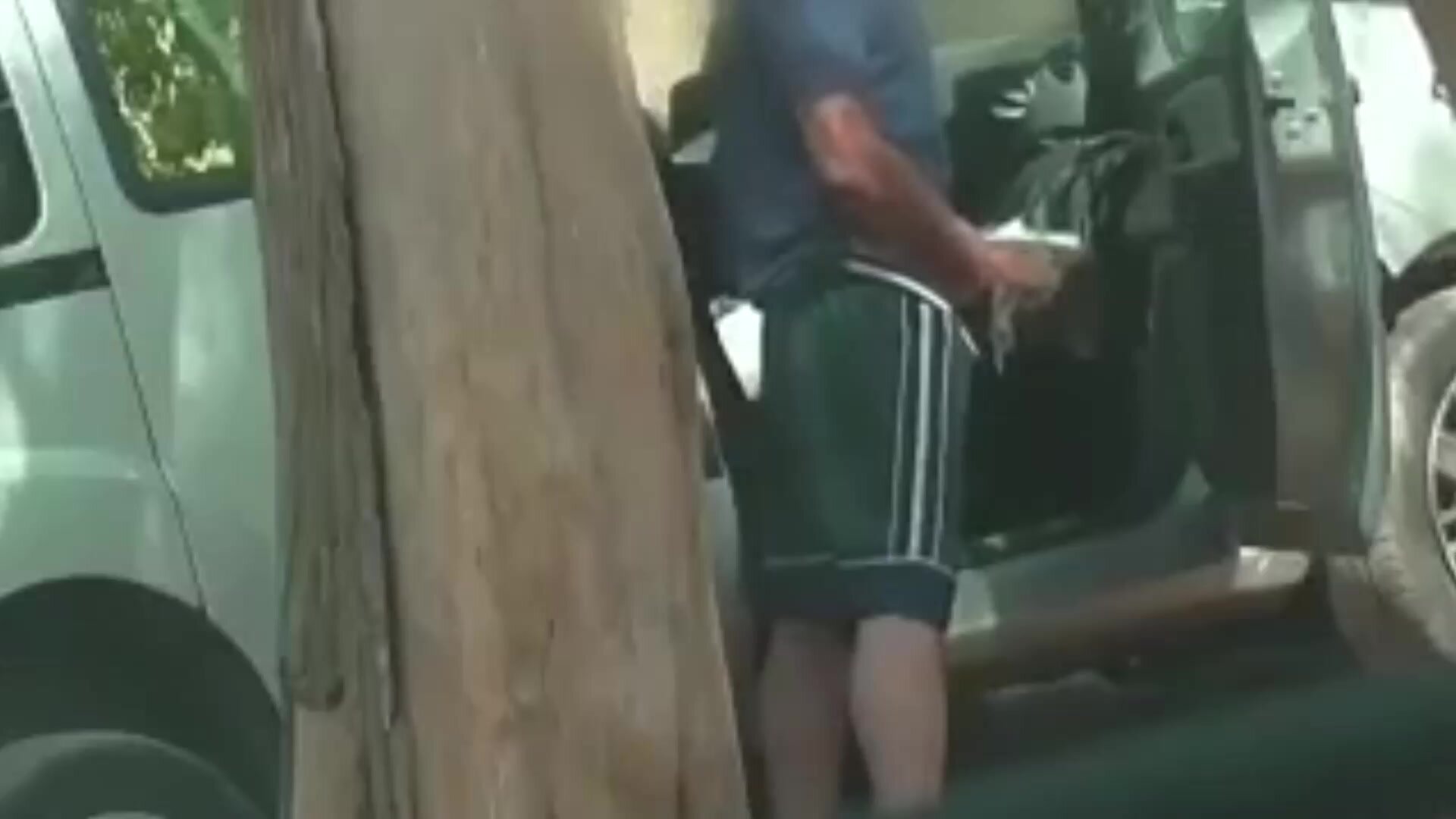 Cruising - video 32