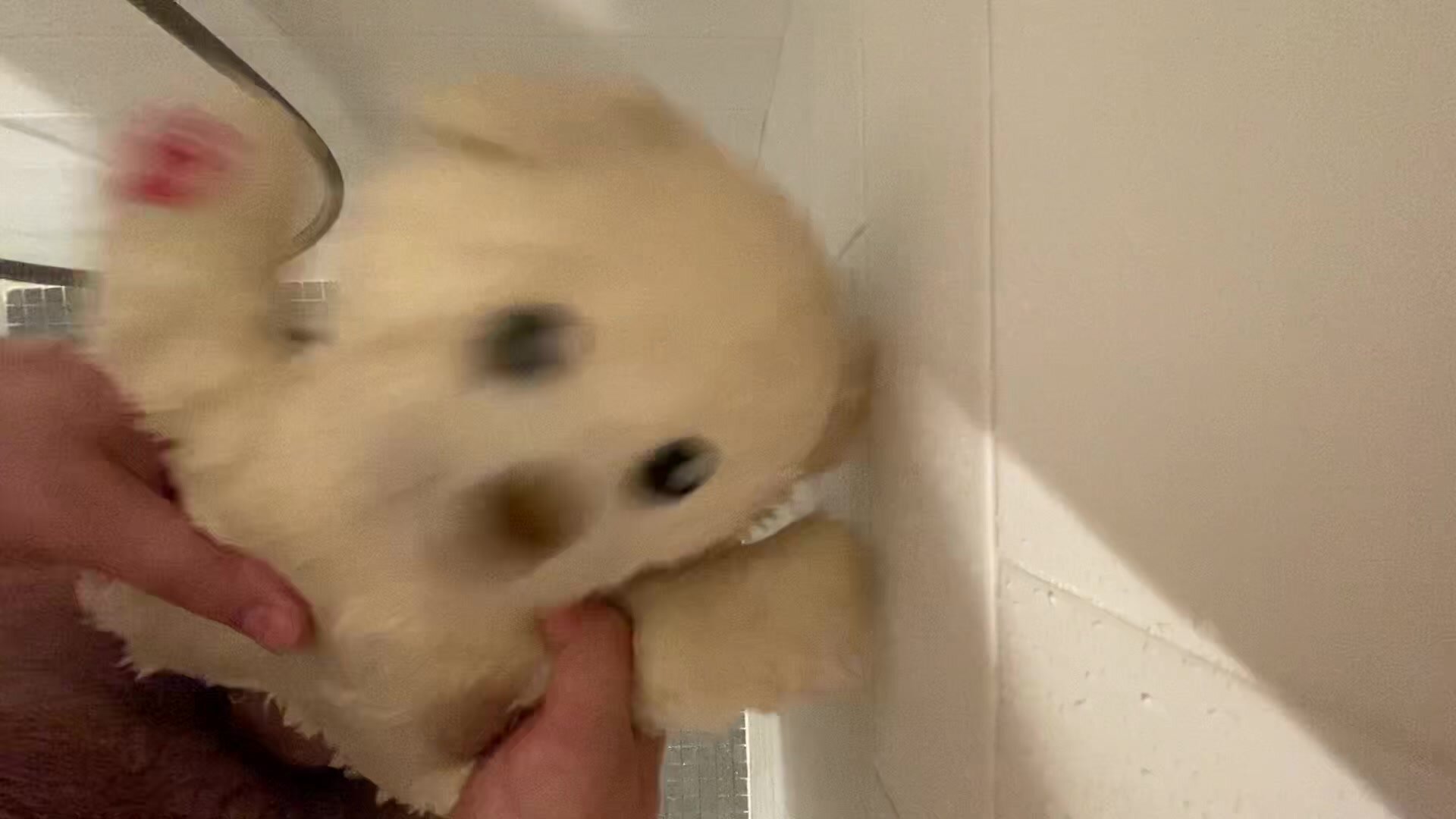 Humping Build A Bear In shower.