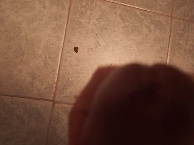 crushing ants cumming