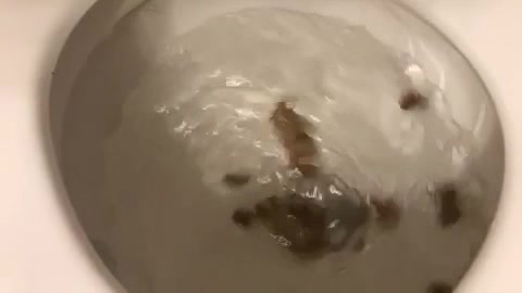 Poopie flush