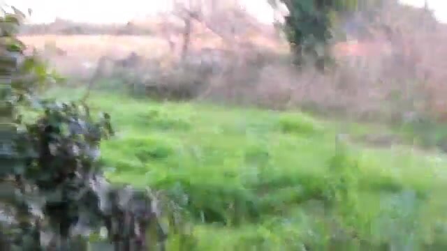 husbands fucking in the woods