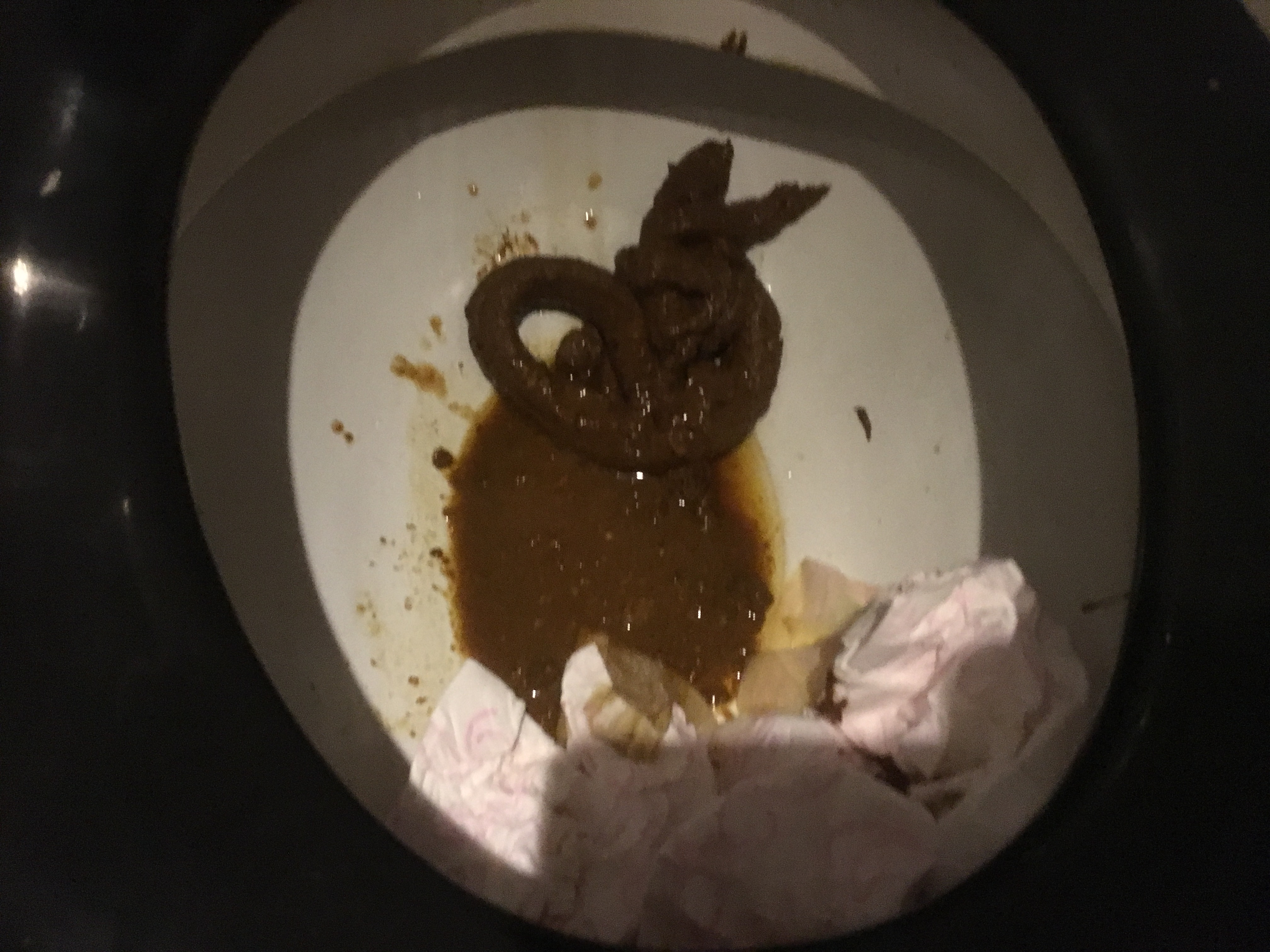 shitting second time 10/18/2017