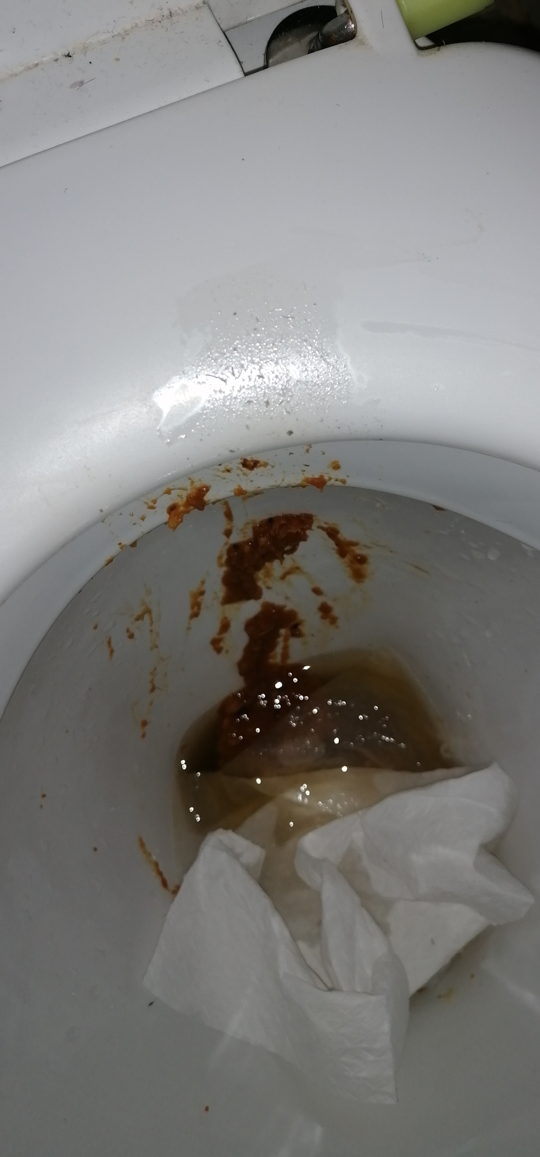 Loose shit on Gemma's loo in the early hours of Saturda