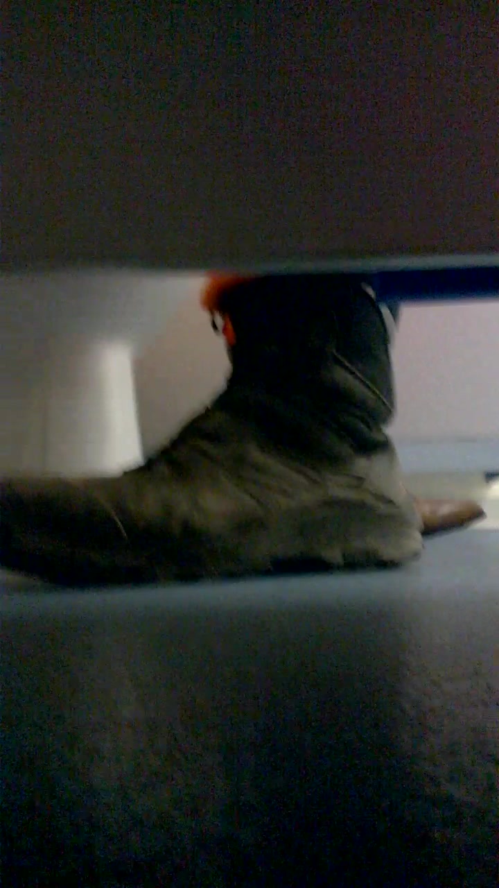 Boot piss