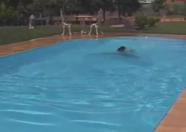 Sexy Lifeguard Pool