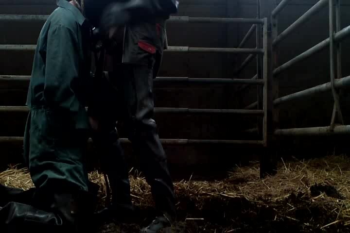 farmson - video 2