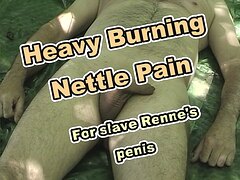 Heavy Stinging Nettles Torture for slave Renne's penis