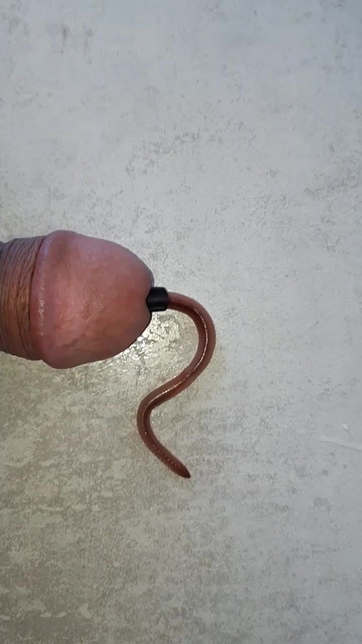 Fat Worm in cock