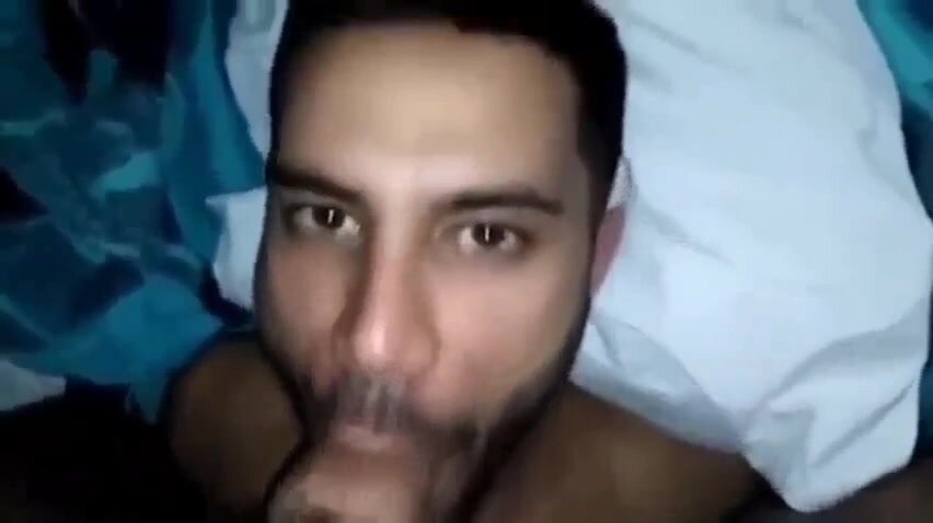 bearded guy sucks cock