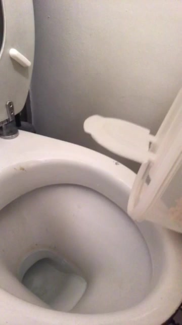 Toilet breakfast - video 3