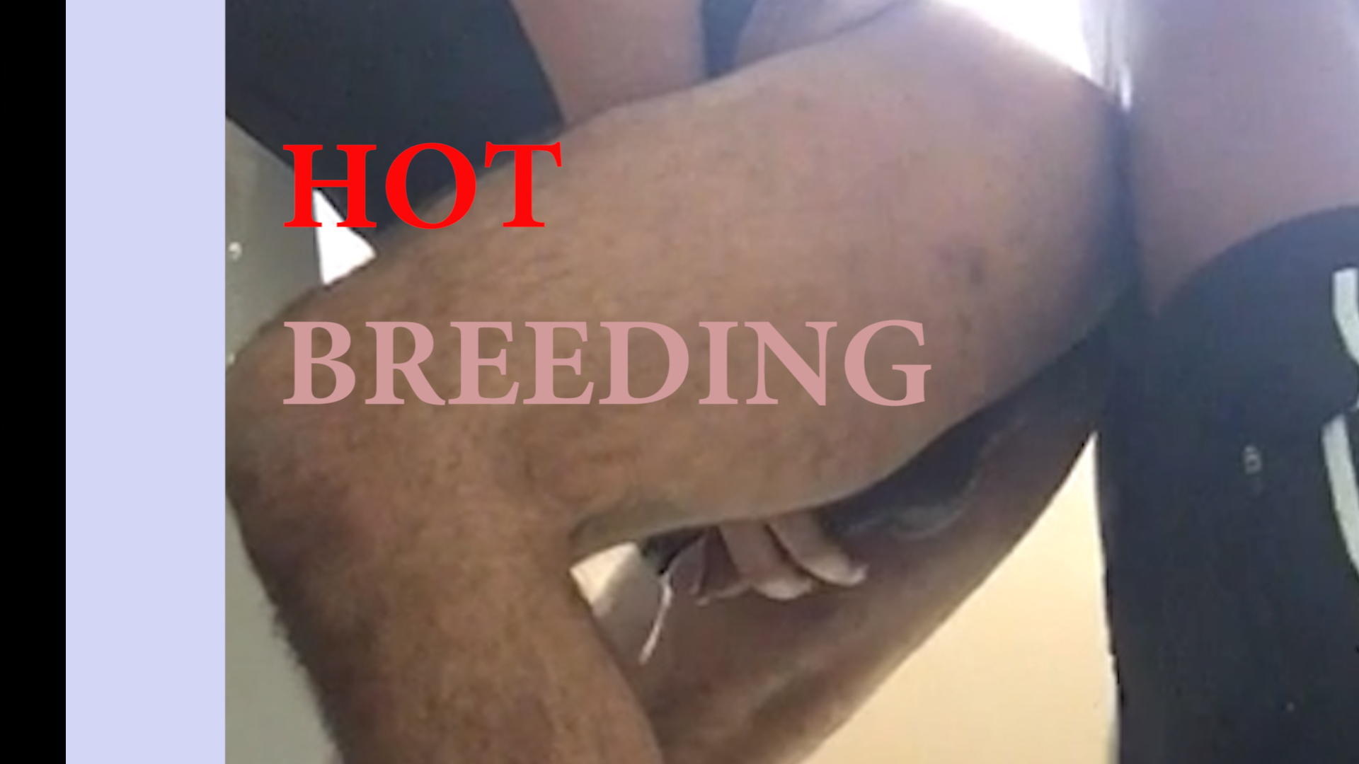Hello, cum in and good bye