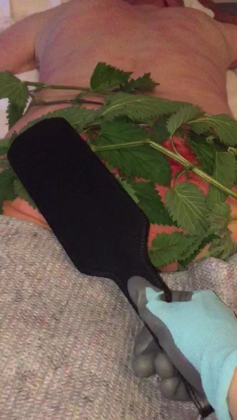 spanking with nettles