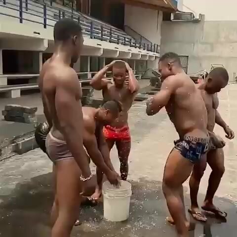 African Studs Rinse Off!