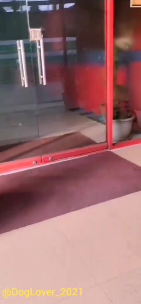 Straight teen sucked for money - video 2