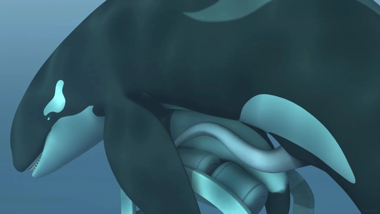 Gay Dolphin Porn - 50 Shades of Blue - Animation - ThisVid.com