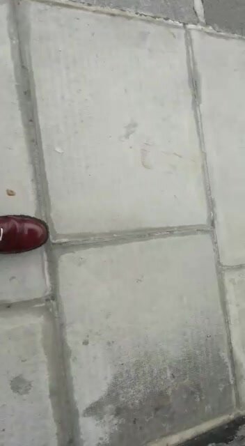 going for a walk in 20 hole skinhead oxblood boots