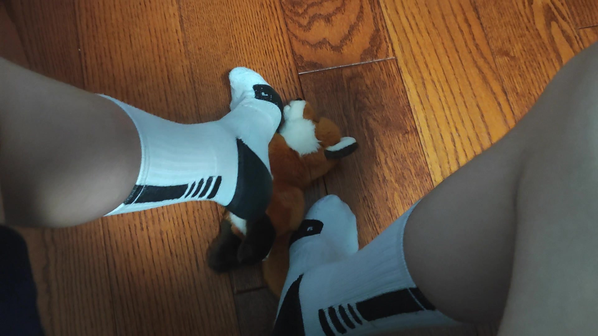 Trample Fox Plush Part 2