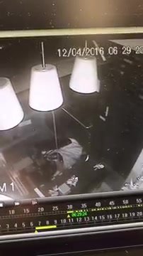 security cam catches woman shitting-2