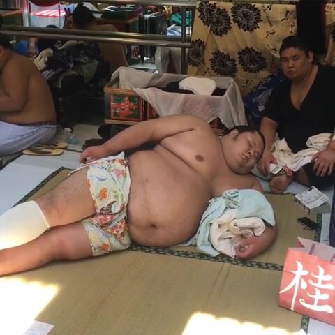 Sumo Sleeping