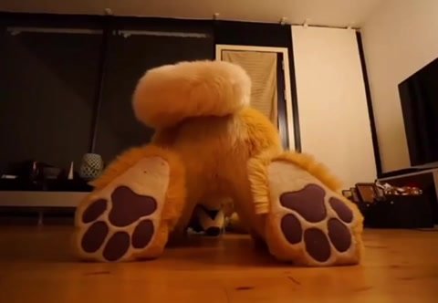 Furry farts in his fursuit