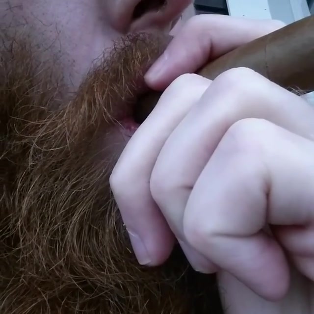 Ginger Cigar 1