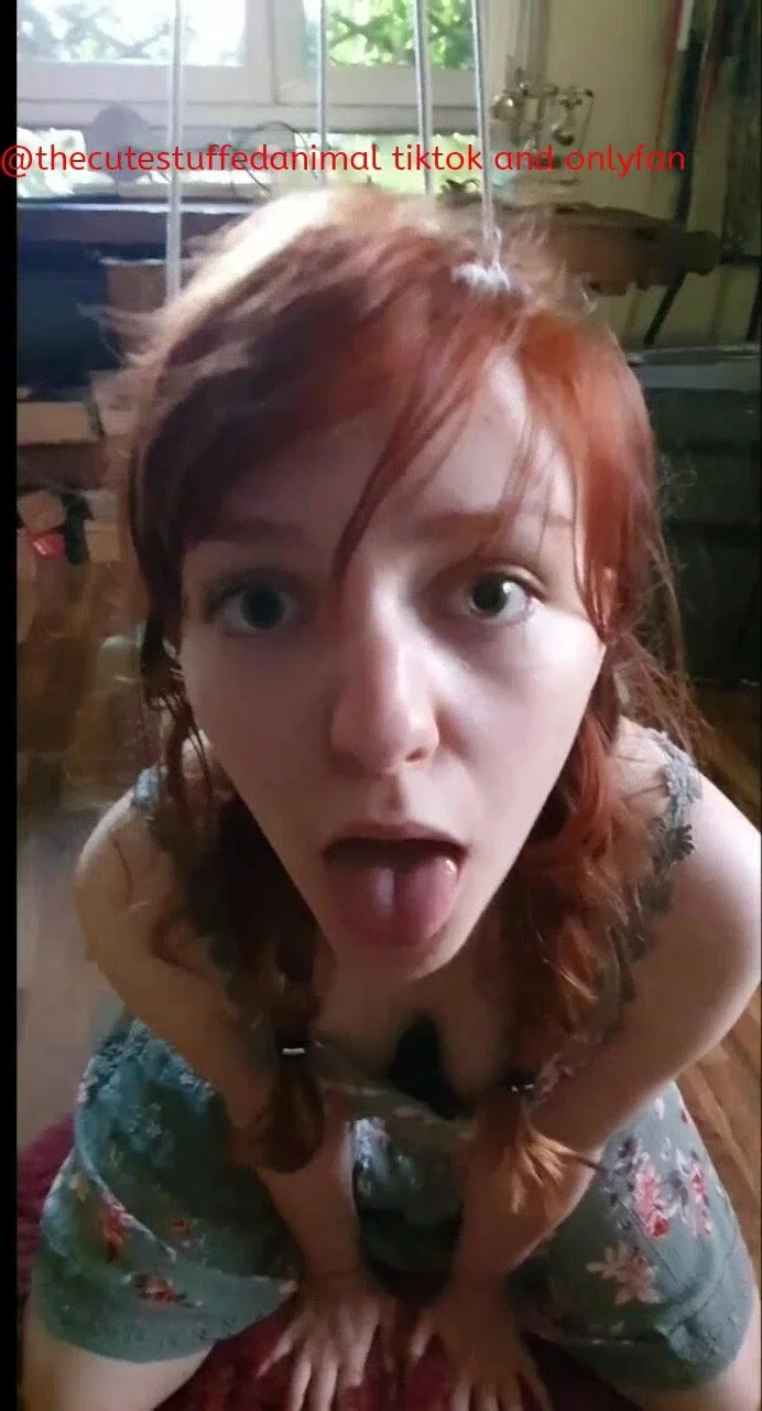 Thecutestuffedanimal