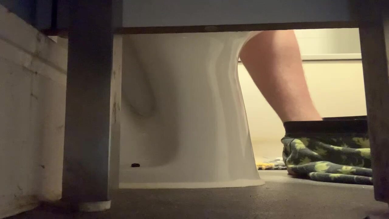 Roommate takes a stinky shit