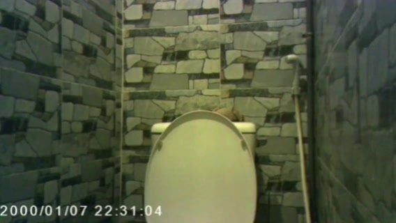 toilet spy cam 11