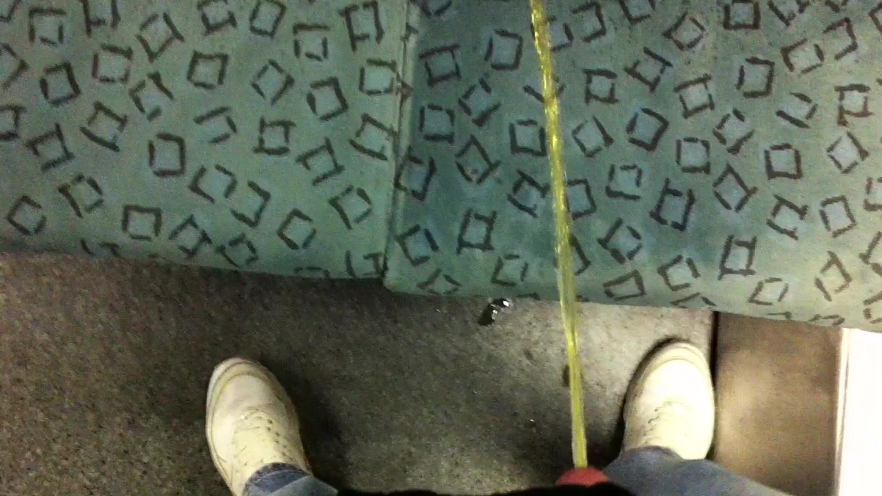 pissing in train