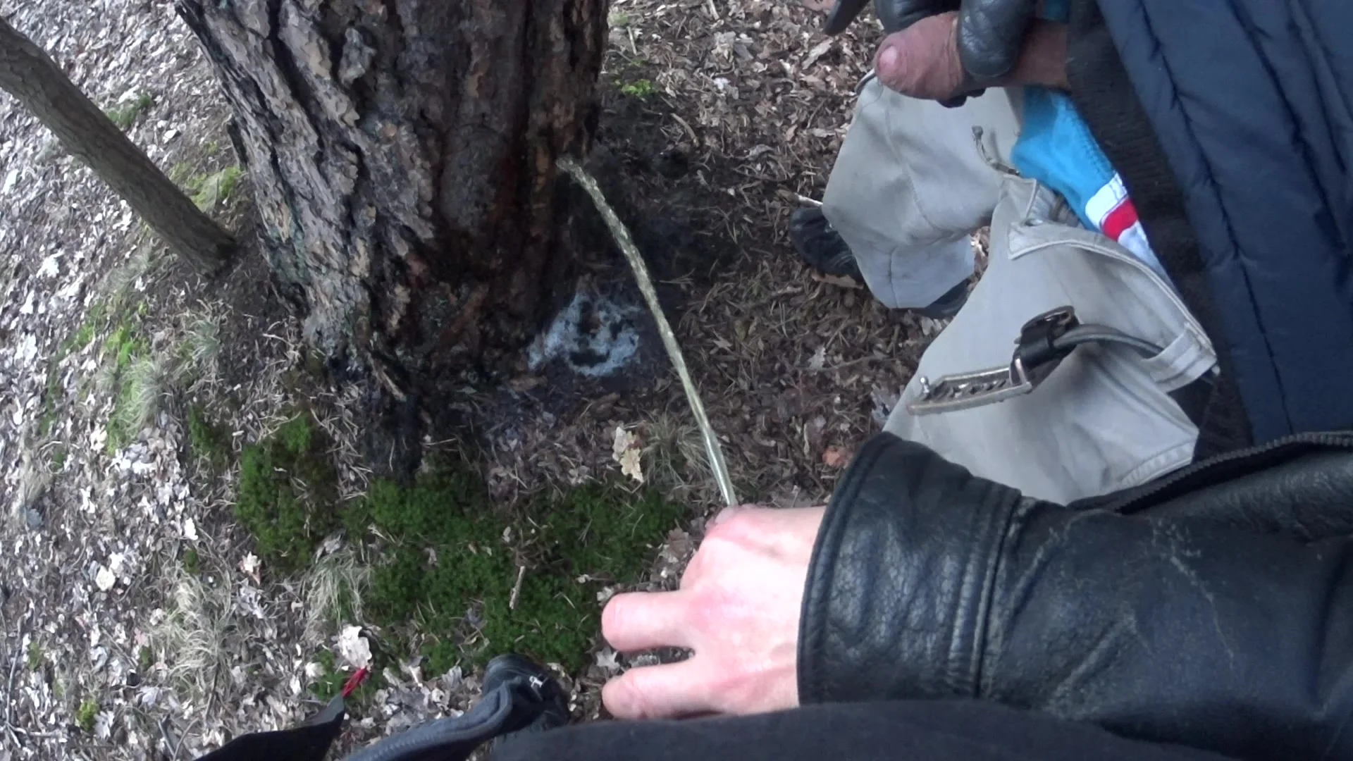 My Boyfriend Holding My Cock Pissing Together In The Woods ThisVidcom