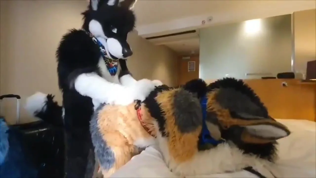 Furry suit gay porn