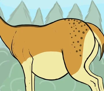 Deer Anal - Deer vore - ThisVid.com