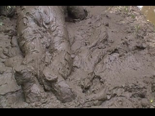 Orca rubber wetsuit in mud Pt. 2 of 2