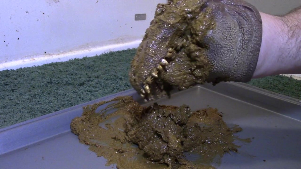 Messy Play with Trex Puppet Head
