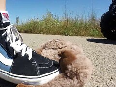 Teddys being a sneaker bitch