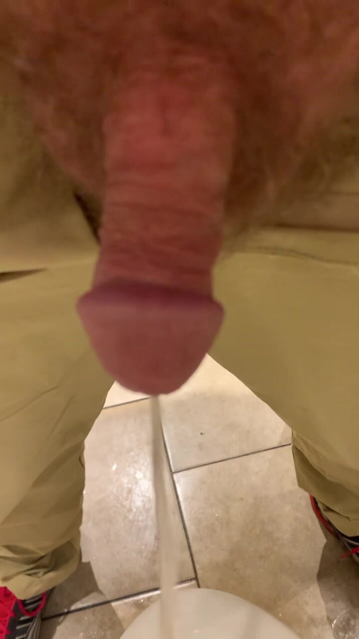 Spy Dad Piss 2