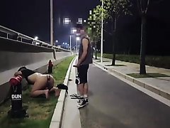 pup get pissed on, walked by and blows their owner