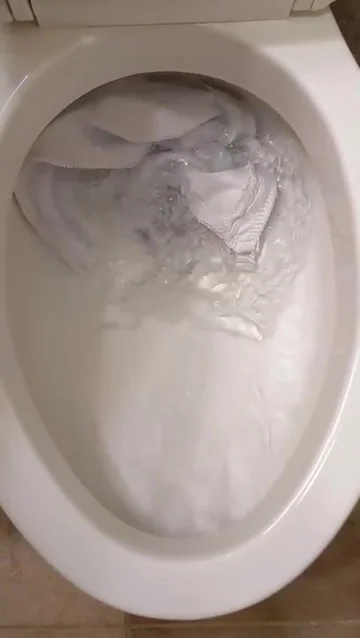 Bra flushed down toilet - ThisVid.com