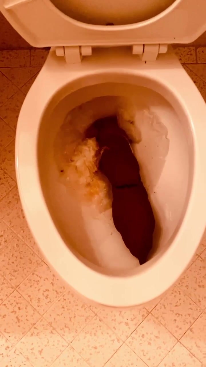 Clogged Toilet 1
