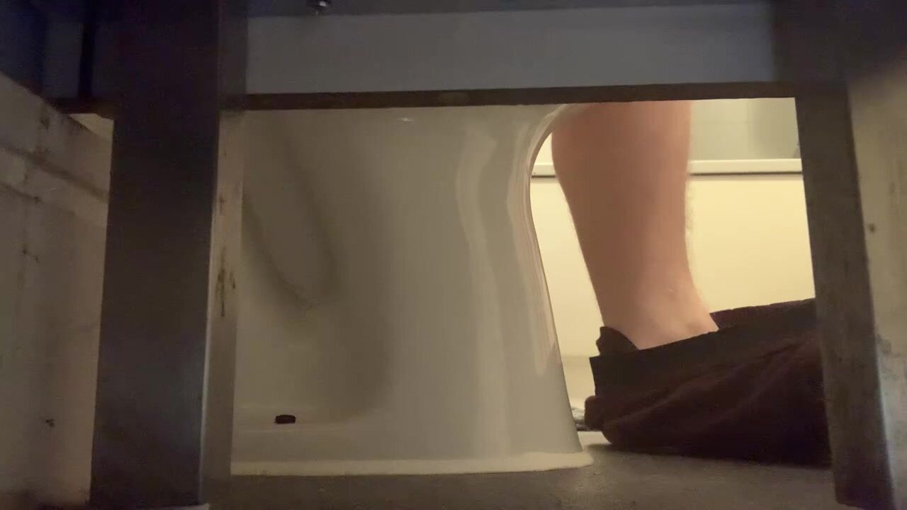 Roommates takes a late night crackly dump