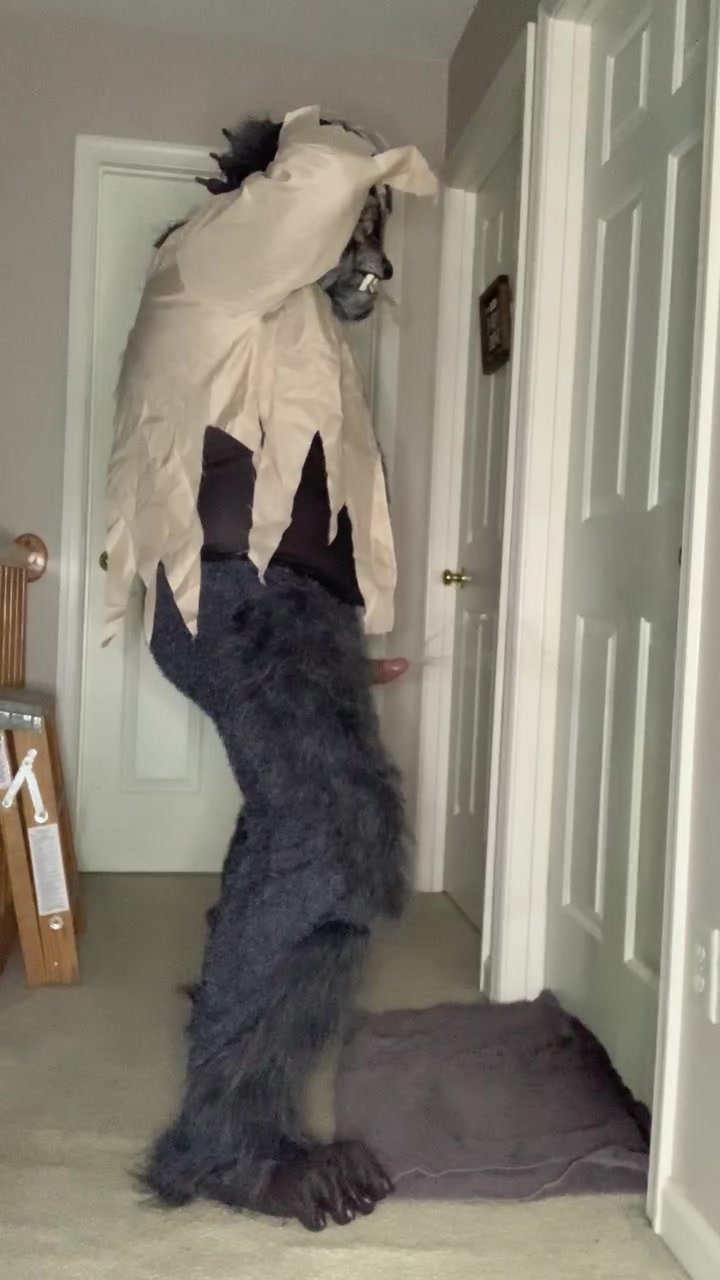Wolfman pisses on bathroom door