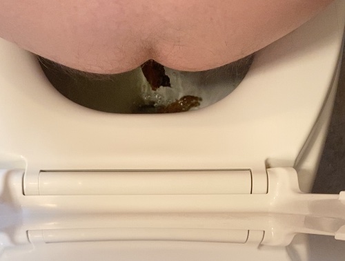 Shit Logs Tumble Into the Toilet