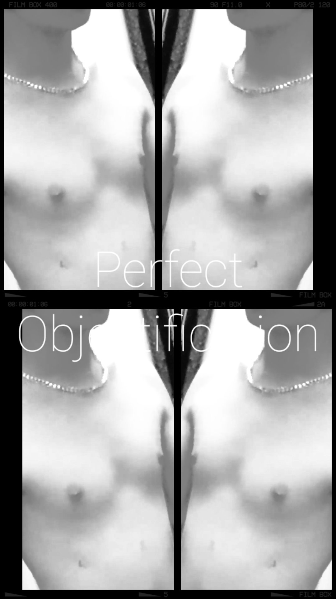 Perfect Objectification