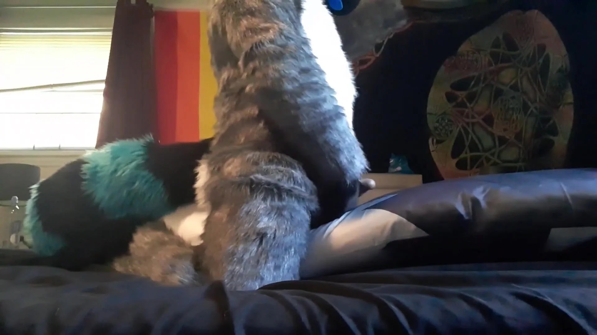 Fursuit whale sex - ThisVid.com em inglês