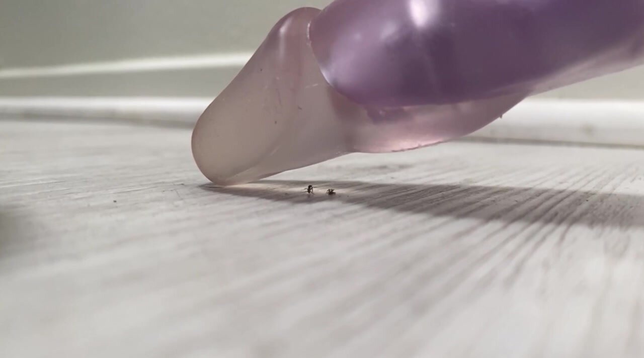 Crush Ants with her Sex Toy