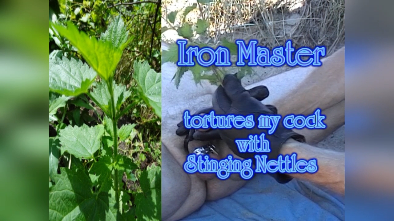 Iron Master treats Louis's cock with mean nettles