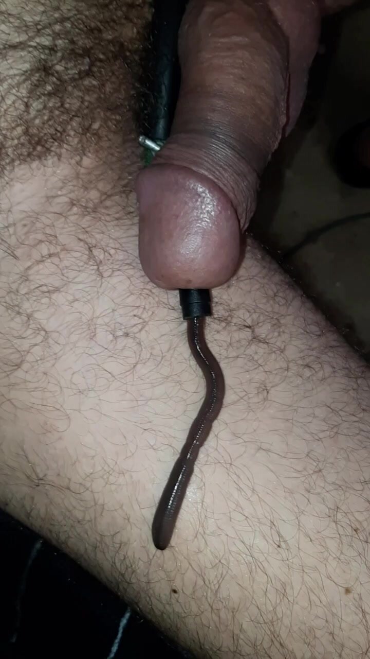 Worms in cock part 1