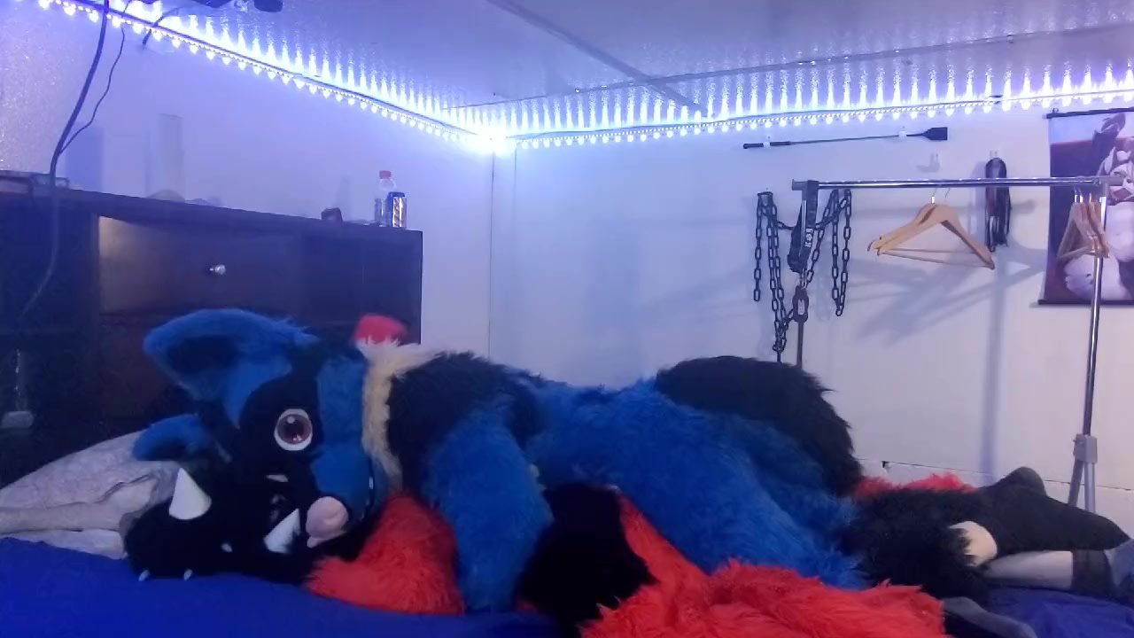 Fursuit Sex - video 6